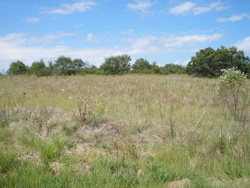 Lot 79 Lilian Avenue, Ellesmere QLD 4610