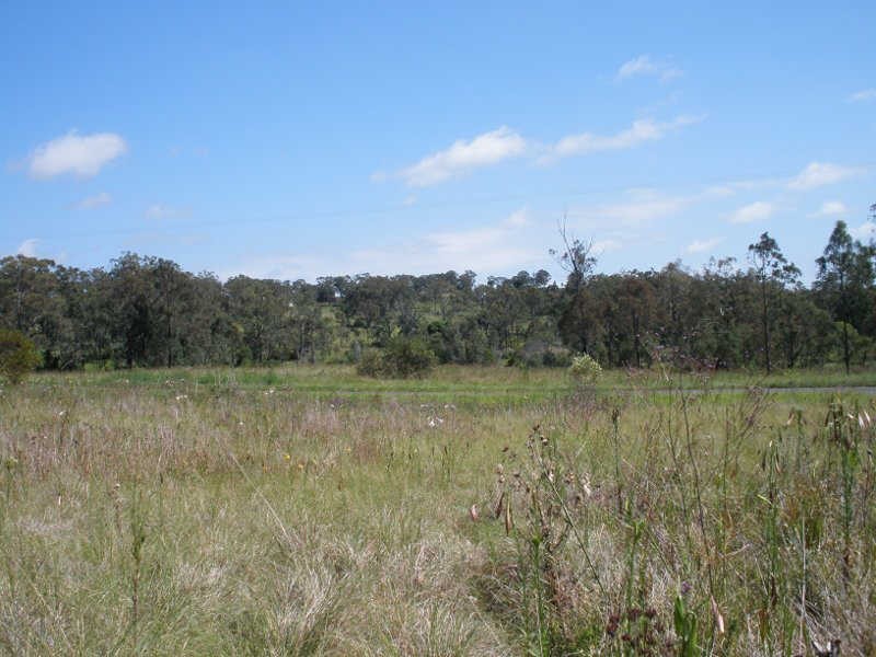 Lot 79 Lilian Avenue, Ellesmere QLD 4610
