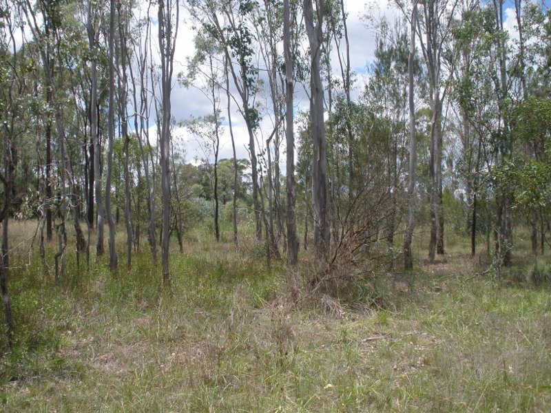 Lot 5 Nanango Tarong Road, Nanango QLD 4615