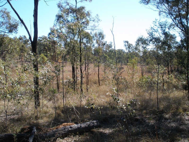 Lots 5 & 6 Shellytop Road, Durong QLD 4610