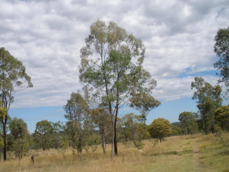 816 Coverty Road, Ballogie QLD 4610