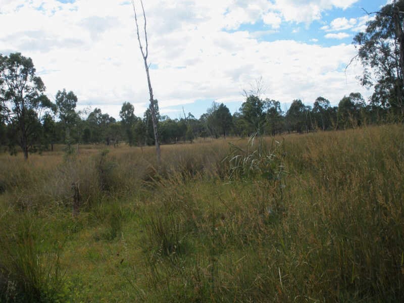 816 Coverty Road, Ballogie QLD 4610