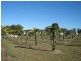 225 Proston Abbeywood Road, Proston QLD 4613