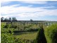 225 Proston Abbeywood Road, Proston QLD 4613