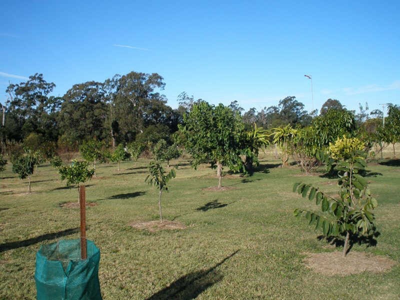 225 Proston Abbeywood Road, Proston QLD 4613