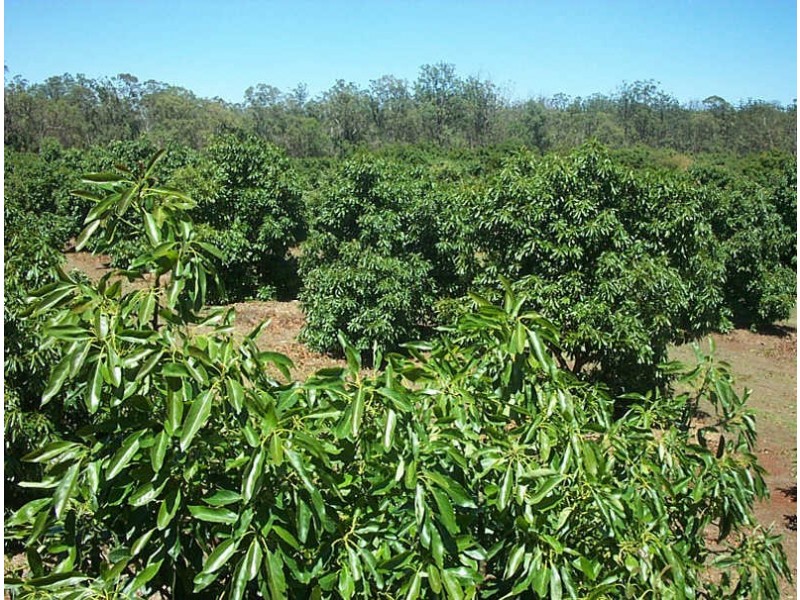 0 Cooyar Crows Nest Road, Blackbutt QLD 4306