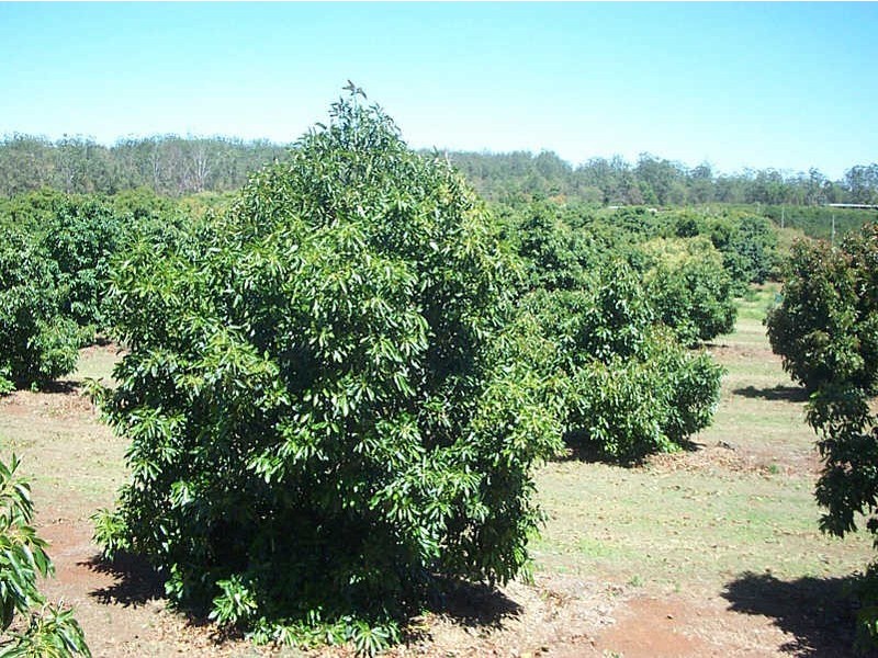 0 Cooyar Crows Nest Road, Blackbutt QLD 4306