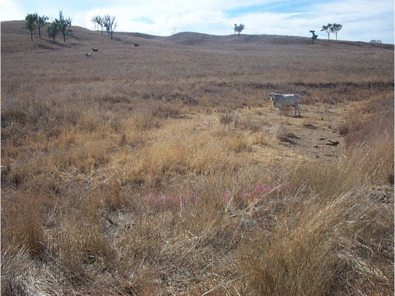 Lots 83,86 Burnett Highway, Goomeribong QLD 4601