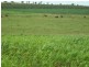 483 West Wooroolin Road, Wooroolin QLD 4608