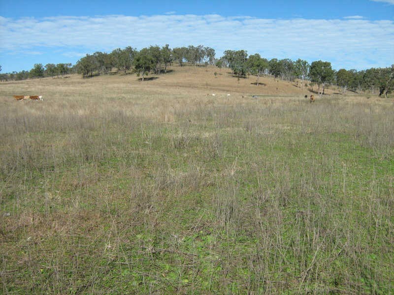 5769 Wide Bay Highway, Kinbombi QLD 4601