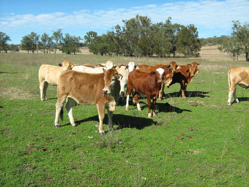 5769 Wide Bay Highway, Kinbombi QLD 4601