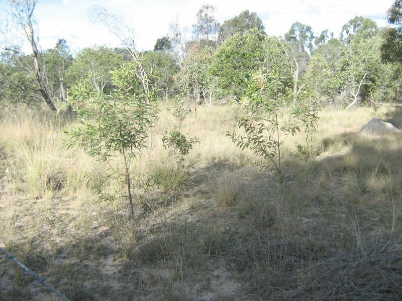 Lot 11 Shellytop Road, Durong QLD 4610