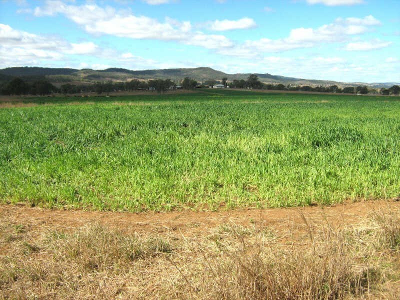 592 Morgans Road, Windera QLD 4605