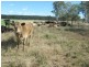 592 Morgans Road, Windera QLD 4605