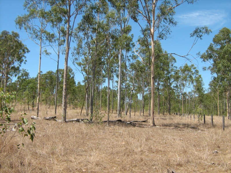 Lot 649 Running Creek Road, Mudlo QLD 4600