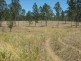 Lot 649 Running Creek Road, Mudlo QLD 4600