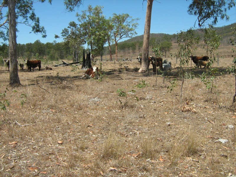 Lot 649 Running Creek Road, Mudlo QLD 4600