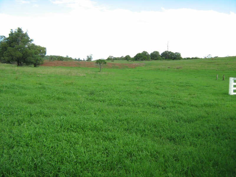 559 Tarong Road, Nanango QLD 4615
