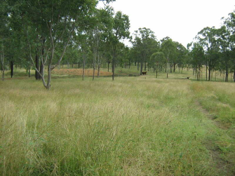 Lot 221 Manumbar Road, Nanango QLD 4615