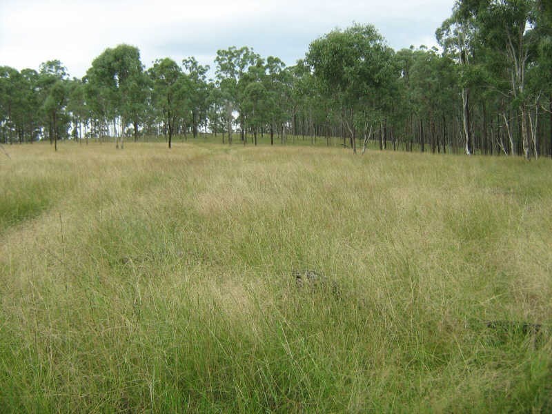 Lot 221 Manumbar Road, Nanango QLD 4615