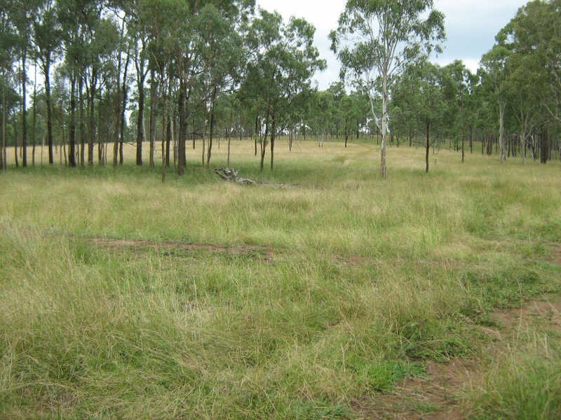 Lot 221 Manumbar Road, Nanango QLD 4615