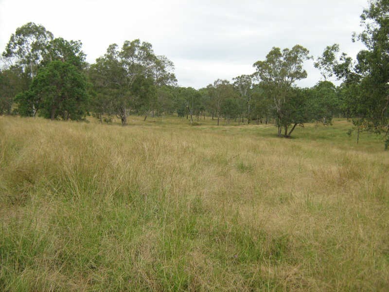 Lot 221 Manumbar Road, Nanango QLD 4615