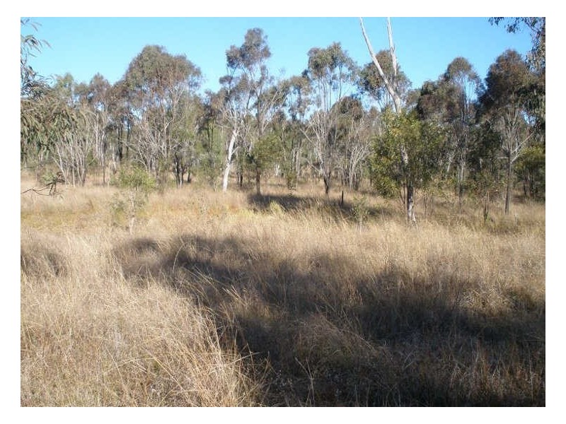 Lot 24 Chinchilla Wondai Road, Ballogie QLD 4610