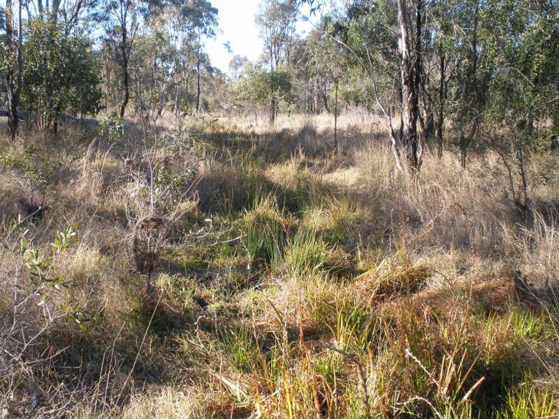 Lot 24 Chinchilla Wondai Road, Ballogie QLD 4610