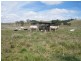381 Goomeri West Road, Goomeri QLD 4601