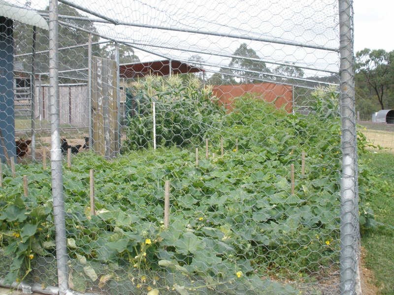 125 Covills Road, East Cooyar QLD 4353