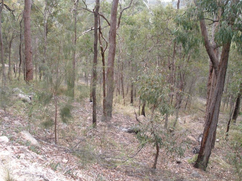 125 Covills Road, East Cooyar QLD 4353