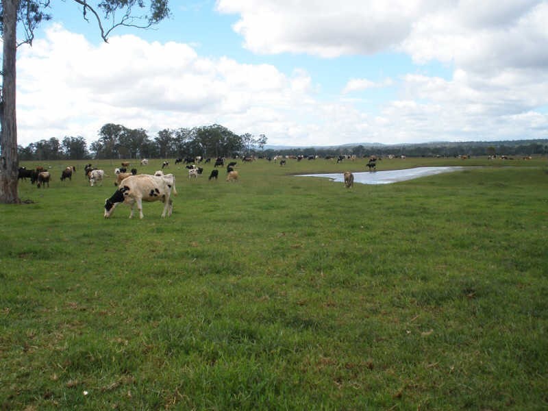 1832 Kingaroy Barkers Creek Road, Booie QLD 4610