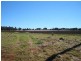 263 Hoggs Road, Wooroolin QLD 4608