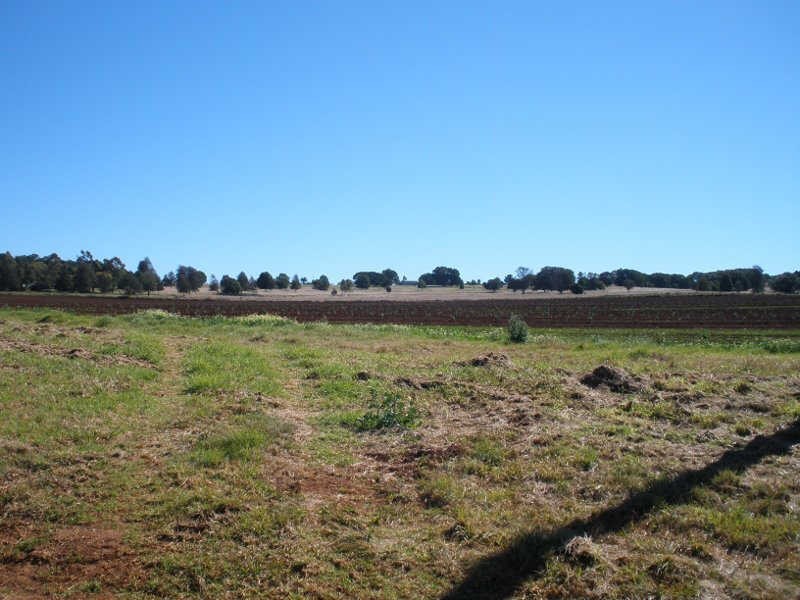 263 Hoggs Road, Wooroolin QLD 4608