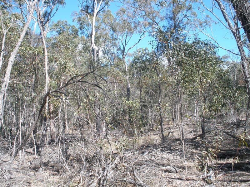 491 Dangore Mountain Road, Dangore QLD 4610