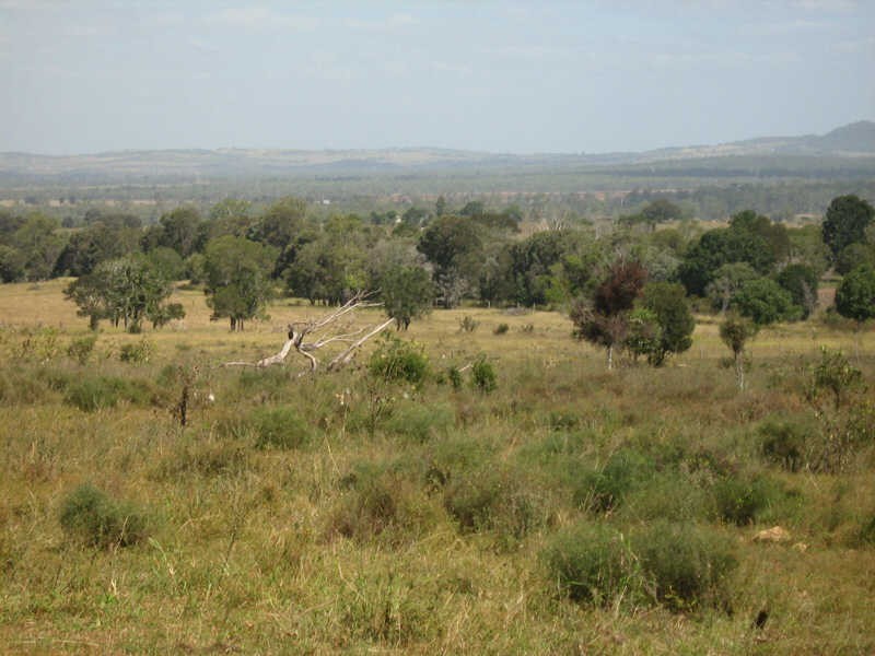 164 Reidys Road, Wooroonden QLD 4605