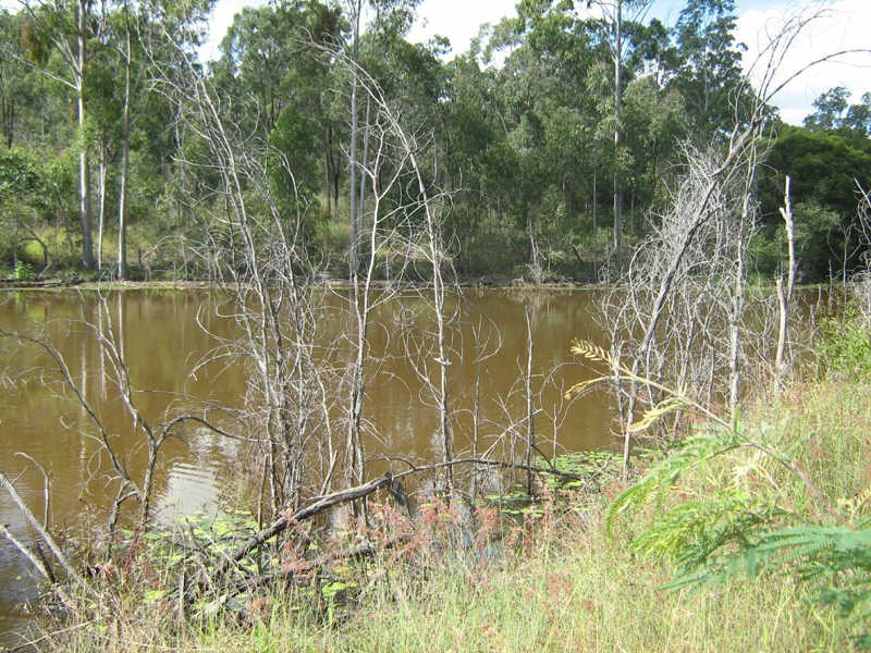 164 Reidys Road, Wooroonden QLD 4605