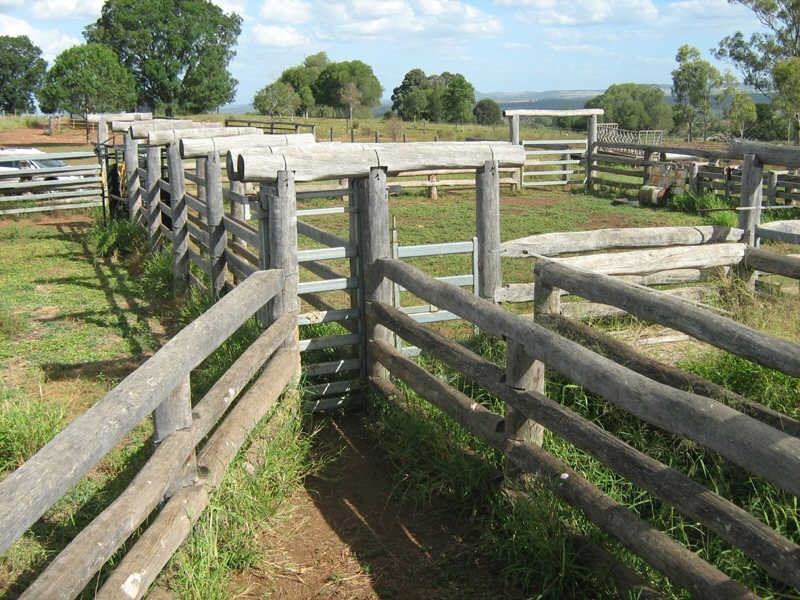 164 Reidys Road, Wooroonden QLD 4605