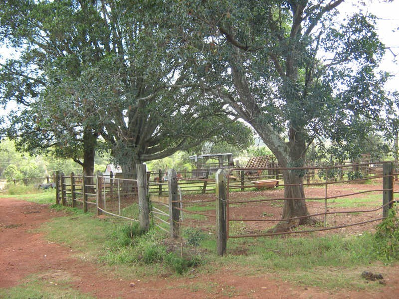 164 Reidys Road, Wooroonden QLD 4605