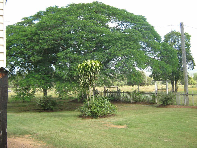 164 Reidys Road, Wooroonden QLD 4605