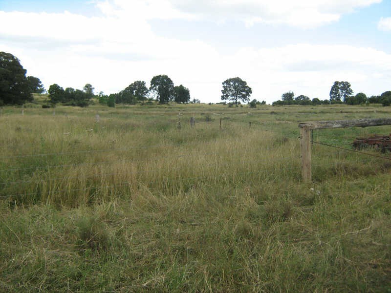 164 Reidys Road, Wooroonden QLD 4605