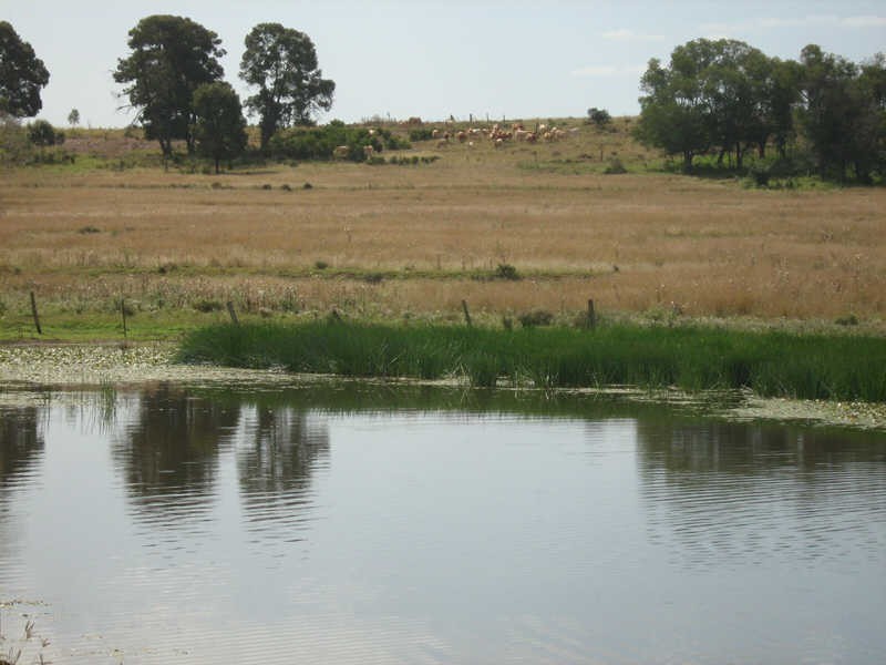 164 Reidys Road, Wooroonden QLD 4605