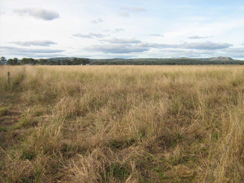 466 Wheatlands Loop Road, Wheatlands QLD 4606