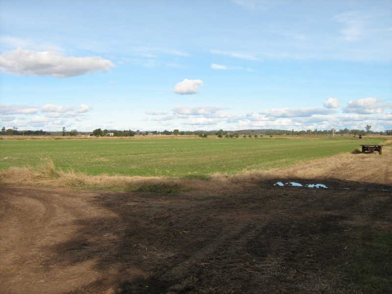 466 Wheatlands Loop Road, Wheatlands QLD 4606