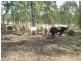 Lots 2 & 7 Mundubbera Durong Road, Brovinia QLD 4626