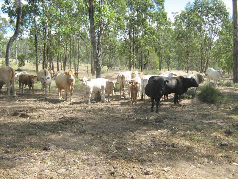 Lots 2 & 7 Mundubbera Durong Road, Brovinia QLD 4626