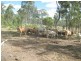 Lots 2 & 7 Mundubbera Durong Road, Brovinia QLD 4626