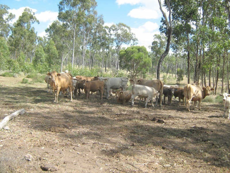 Lots 2 & 7 Mundubbera Durong Road, Brovinia QLD 4626