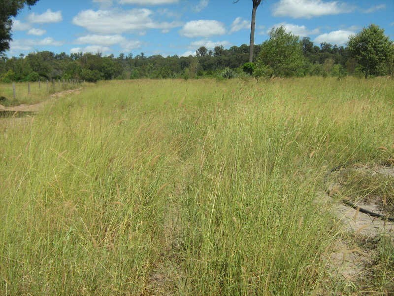 Lots 2 & 7 Mundubbera Durong Road, Brovinia QLD 4626