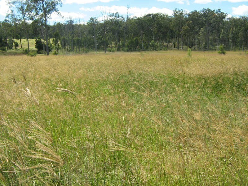 Lots 2 & 7 Mundubbera Durong Road, Brovinia QLD 4626